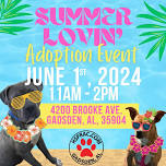 Summer Lovin’ Adoption Event