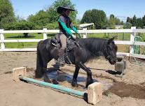 Build a Calm and Confident Horse Clinic