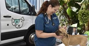 Mobile Veterinary Clinic: Microchip & Wellness Services