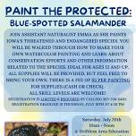 Paint the Protected: Blue-Spotted Salamander