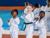 Summer Karate Classes 2 for 1 eight weeks