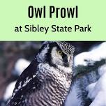 Owl Prowl at Sibley State Park