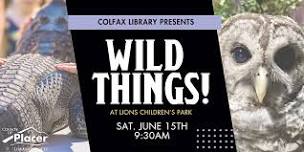 Wild Things at Lions Children's Park