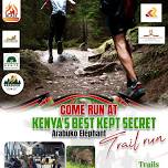 Arabuko Elephant Trail Run