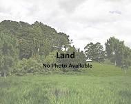 Auction Agricultural Land in Segamat Johor for RM99000