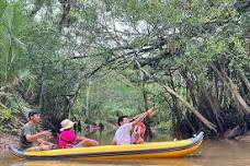 Khaolak Half Day Jungle Wildlife Canoeing small group Tour