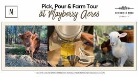 Pick, Pour & Farm Tour at Mayberry Acres