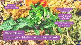 Identifying Native Medicinal Plants In Michigan with Heart & Soul Naturals