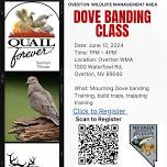 Dove Banding