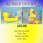 Rubber Ducky Mini's