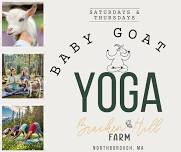 Yoga with Baby Goats