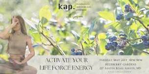 KAP Kundalini Activation Process with Susana
