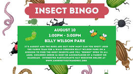 Insect Bingo at Billy Wilson Park