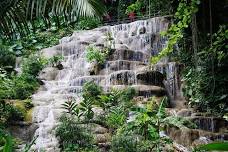 Konoko Falls and Garden Tour from Negril: Lush Gardens and Cascading Waterfalls