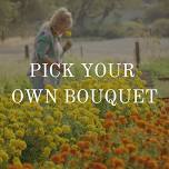Pick Your Own Bouquet       — Park Winters