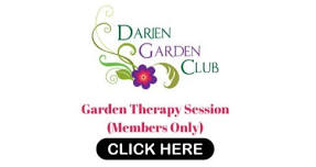 DGC Garden Therapy (members only)  — Darien Garden Club