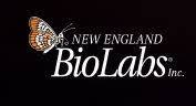 New England Biolabs presents Bacterial Art! (Grades 4-8)