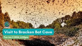 Visit to Bracken Bat Cave