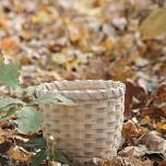 White Oak: From Tree to Basket