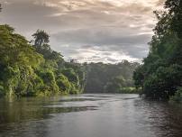 Amazon Rainforest Adventure - Connect to the Amazon, travellers, tribes and you