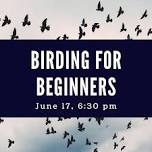 Birding for Beginners