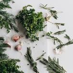 Growing Culinary Herbs — BULLINGTON GARDENS