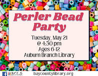 Perler Bead Party