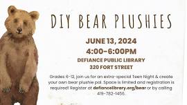 Teen Night: DIY Bear Plushies *Registration required*