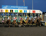 Stake Races @ Presque Isle Downs