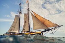 Sail on Spirit of Dana Point