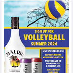 Summer volleyball 2024