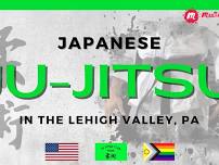 Japanese Ju-Jitsu in the Lehigh Valley, PA