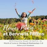Flower Pickin' at Bennett Farms