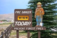 Smokey the Bear Fire Safety