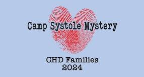 Camp Systole Mystery 2024