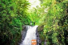 Hikemaniak Kimakia Forest Waterfall  Chase