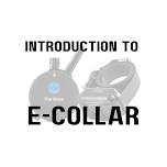 Introduction to E-Collar — East Coast Canine Inc.