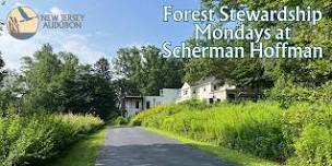 Forest Stewardship Volunteer Mondays