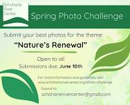 Spring Photo Challenge - 