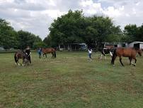 Equine Assisted Learning Summer Camps