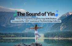 The Sound of Yin - Third in Class Series