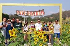 Khao Yai One Day Tour: Private Comfort for 4-5 Persons with Unique Experiences