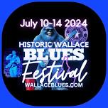 Brian Sacco Saxophone at The Historic Wallace Blues Festival