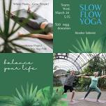 Slow Yoga Flow (In-Person)
