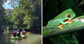Ultimate Nature Tour – Costa Rica