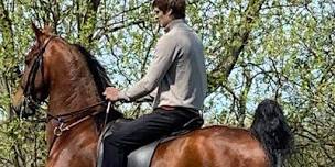 Private Riding Lessons,