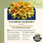 The Wonders of Clivias by Utopia Clivias