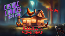 Seth Flake’s Cosmic Coyotes - Live @ Hillbilly’s Wing Shack