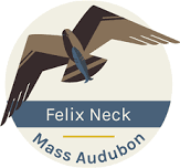 Mass Audubon: Felix Neck Wildlife Sanctuary