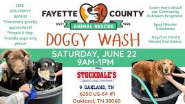 Doggy Wash Fundraiser at Stockdale's!